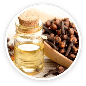 Clove Bud Oil