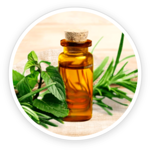 Tea Tree Oil